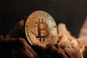 tp官方正版下载|tp最新版下载-你的数字通用钱包-狗狗币：诞生于2013年基于区块链技术的数字货币发展历程