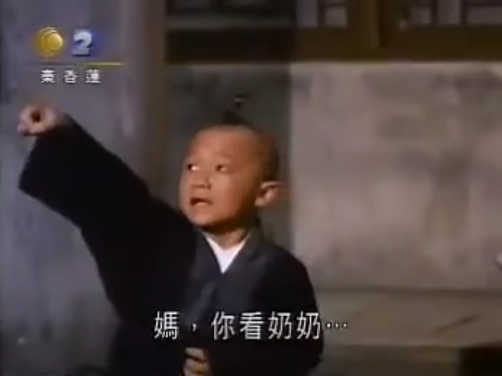 元彪武术水平_元彪武打电影国语版_元彪的武术训练与日常生活
